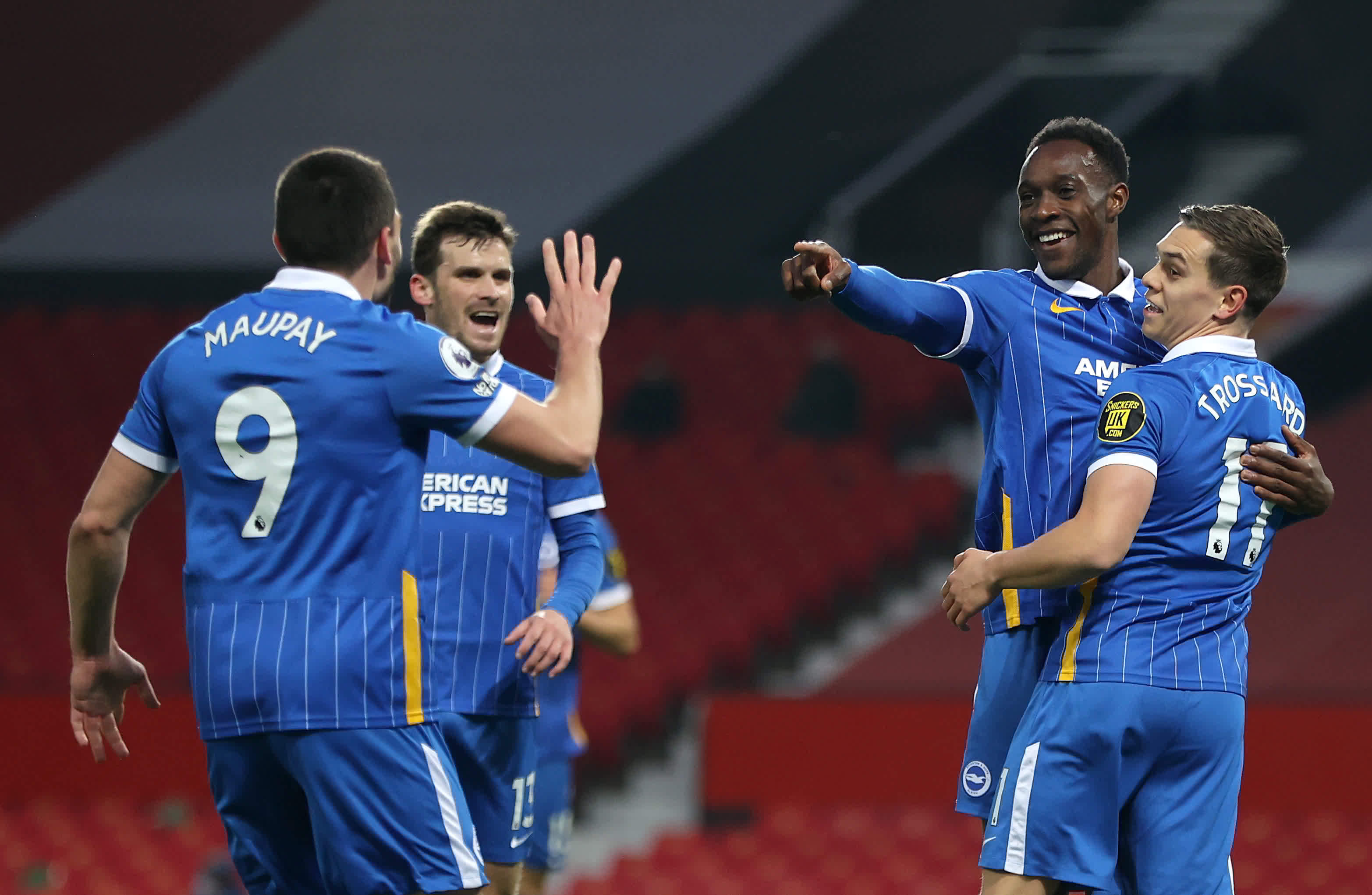 引导球迷树 引导球迷树